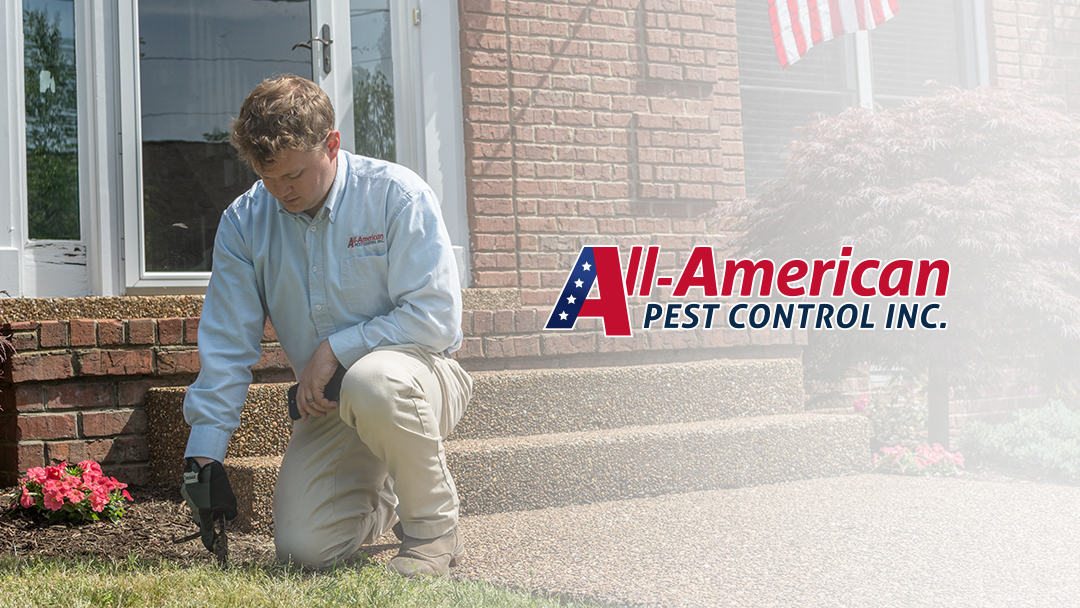 All-American Pest Control