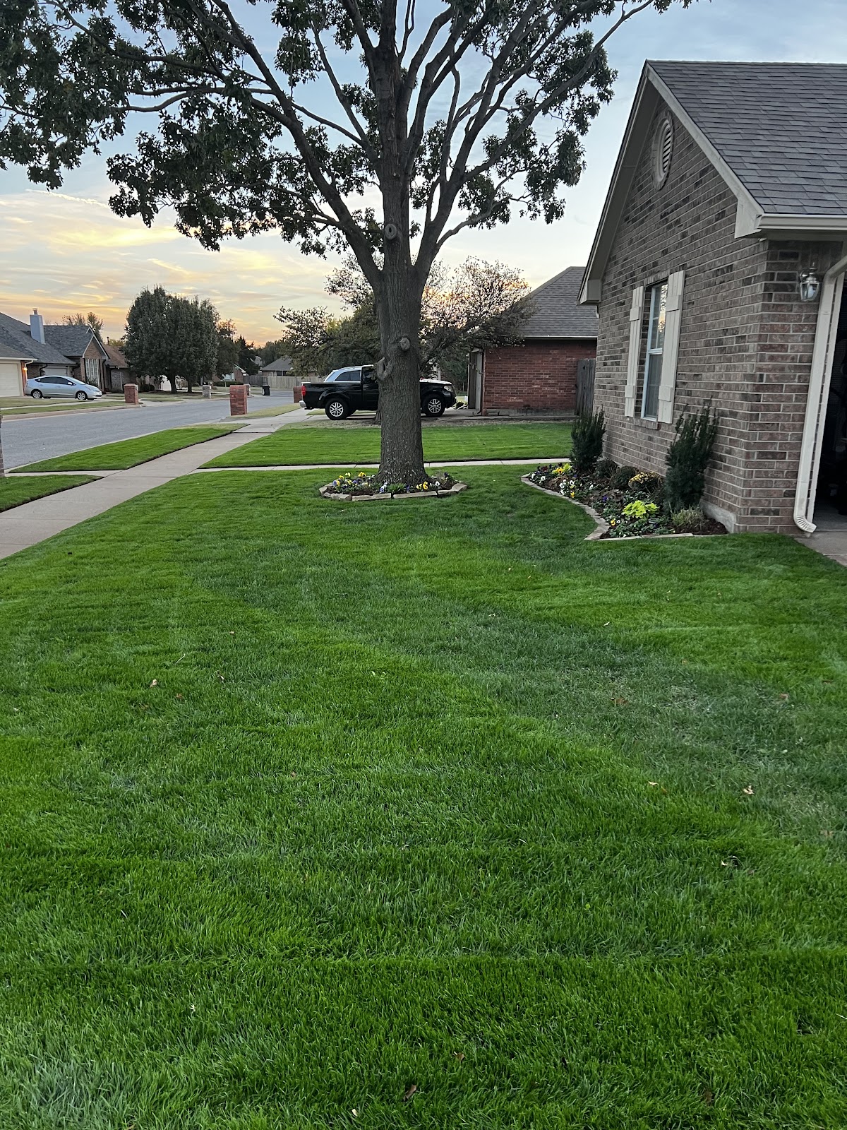 3DL Landscape & Lawn