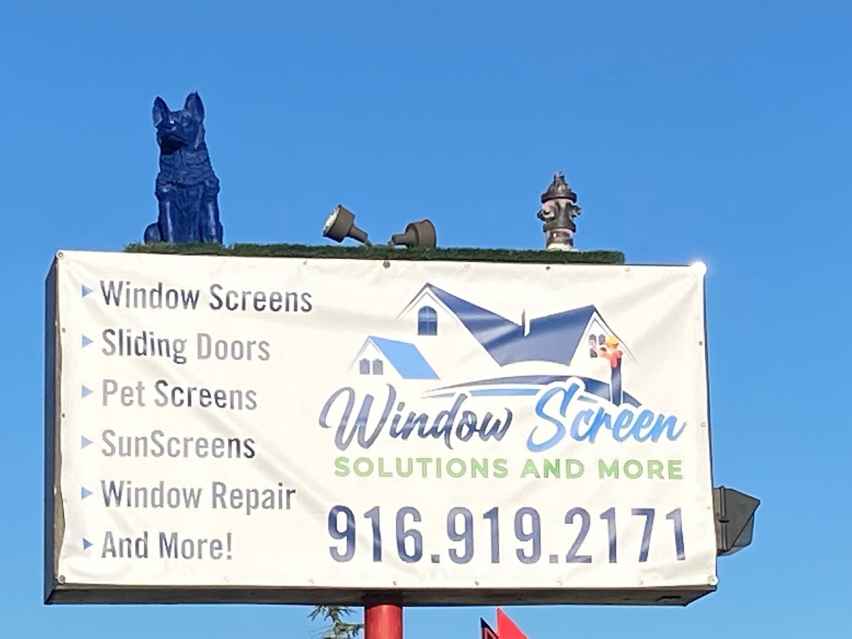 Window Screen Solutions and More
