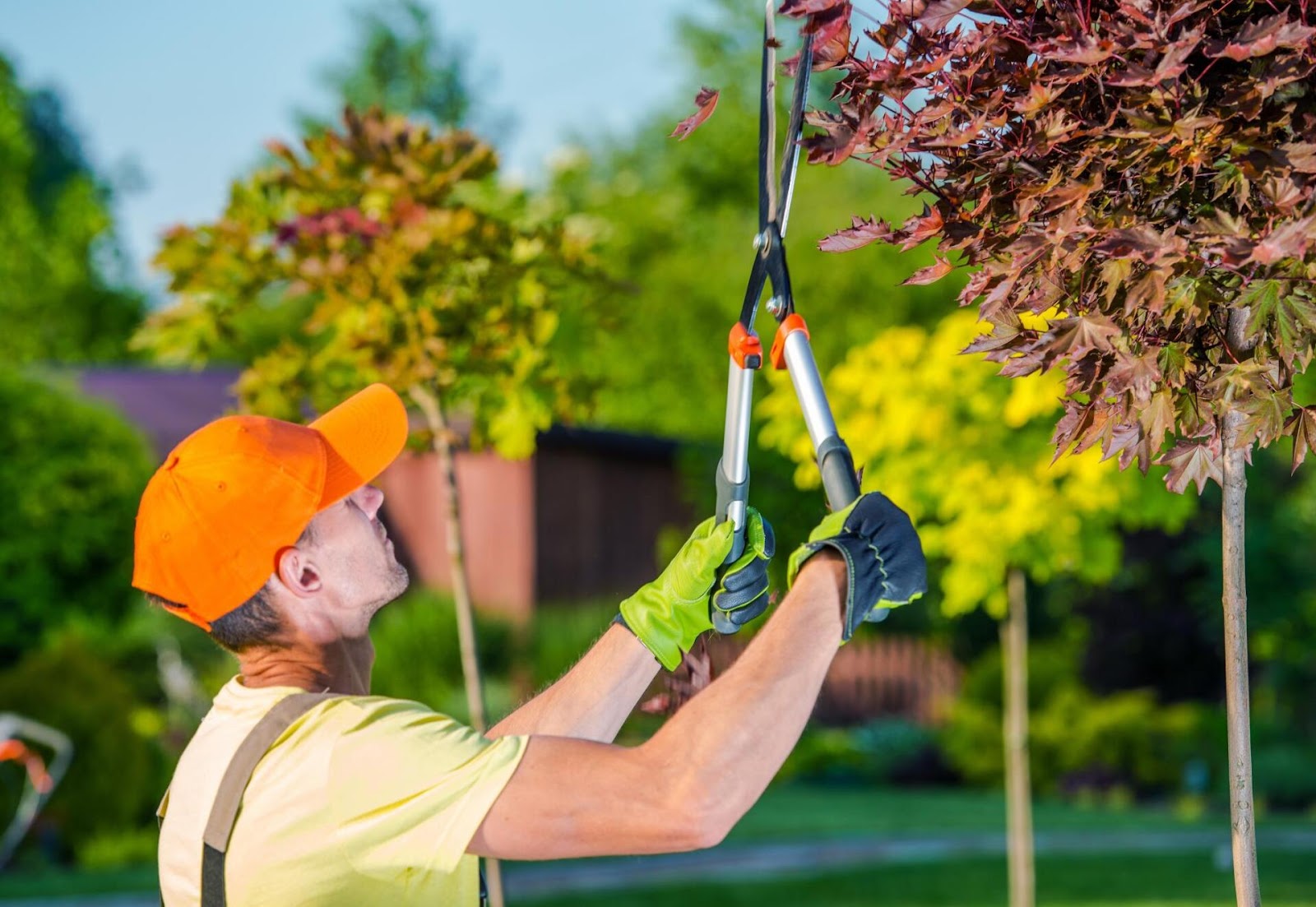 Landscaping Charm Experts Edmonton