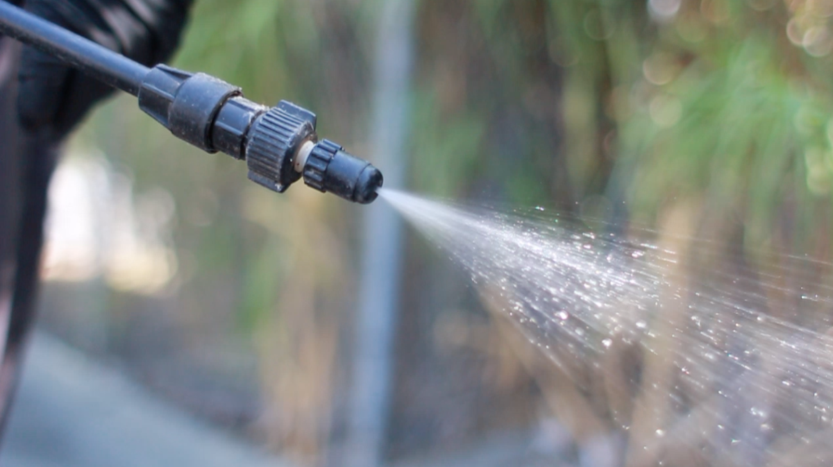 Integrity Pest Management