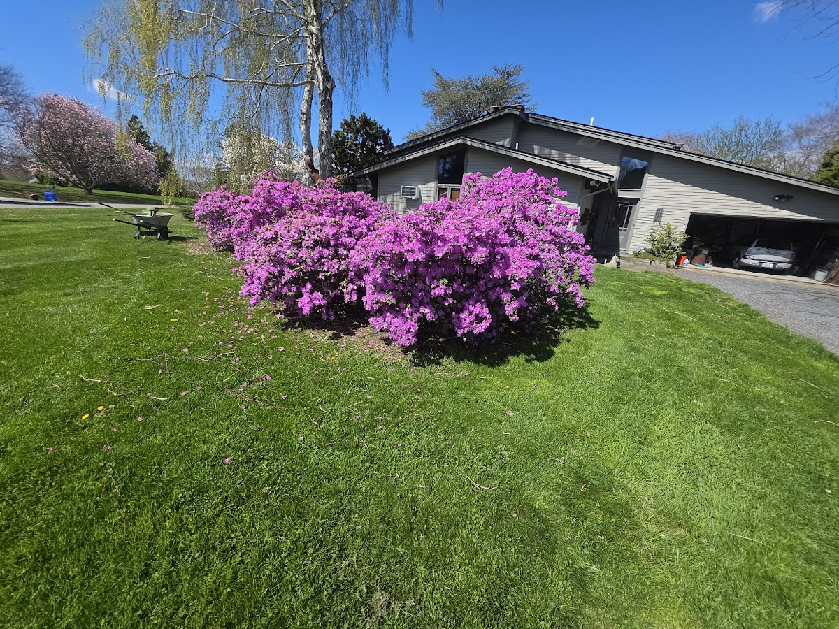 Rock Solid Landscaping Inc.