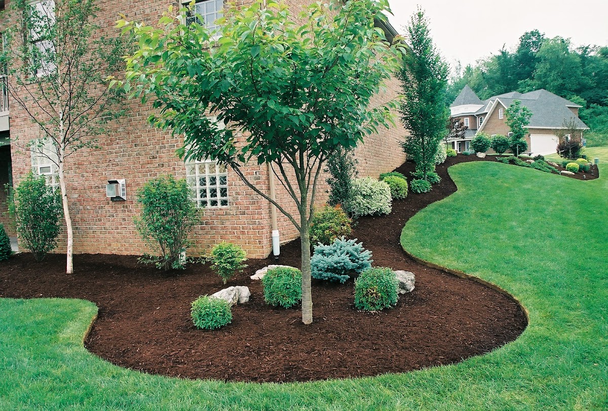 Picture Perfect Lawn & Landscaping