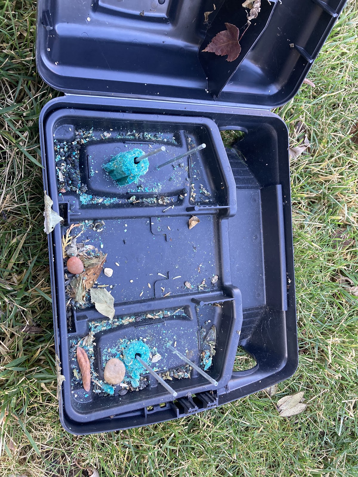 Greenix Pest Control