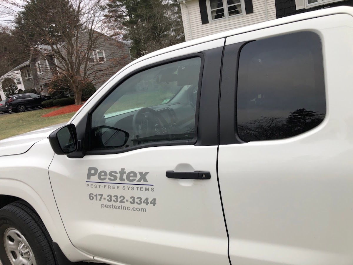 Pestex Inc