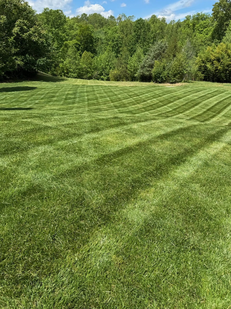 Imperial Landscaping