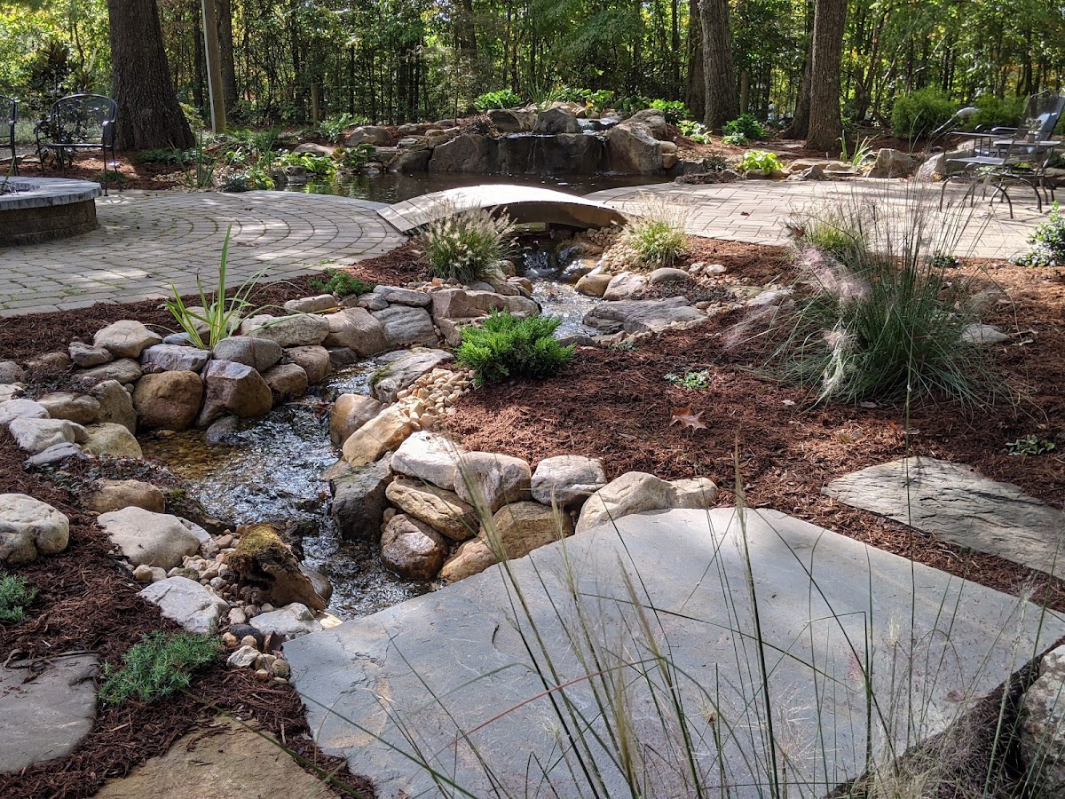 Business photo