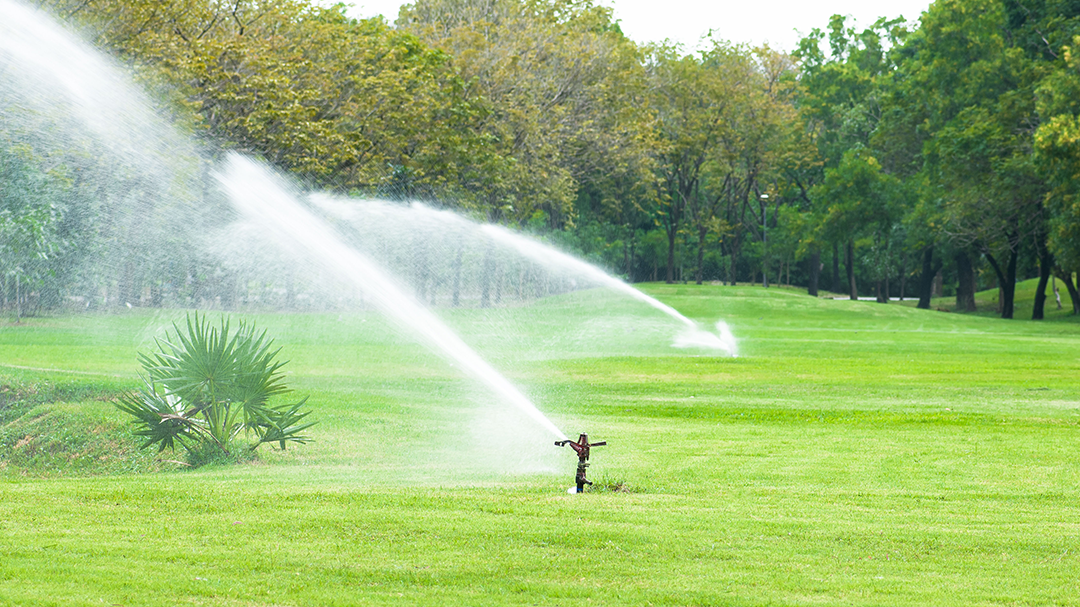 Lizer Lawn Care & Irrigation