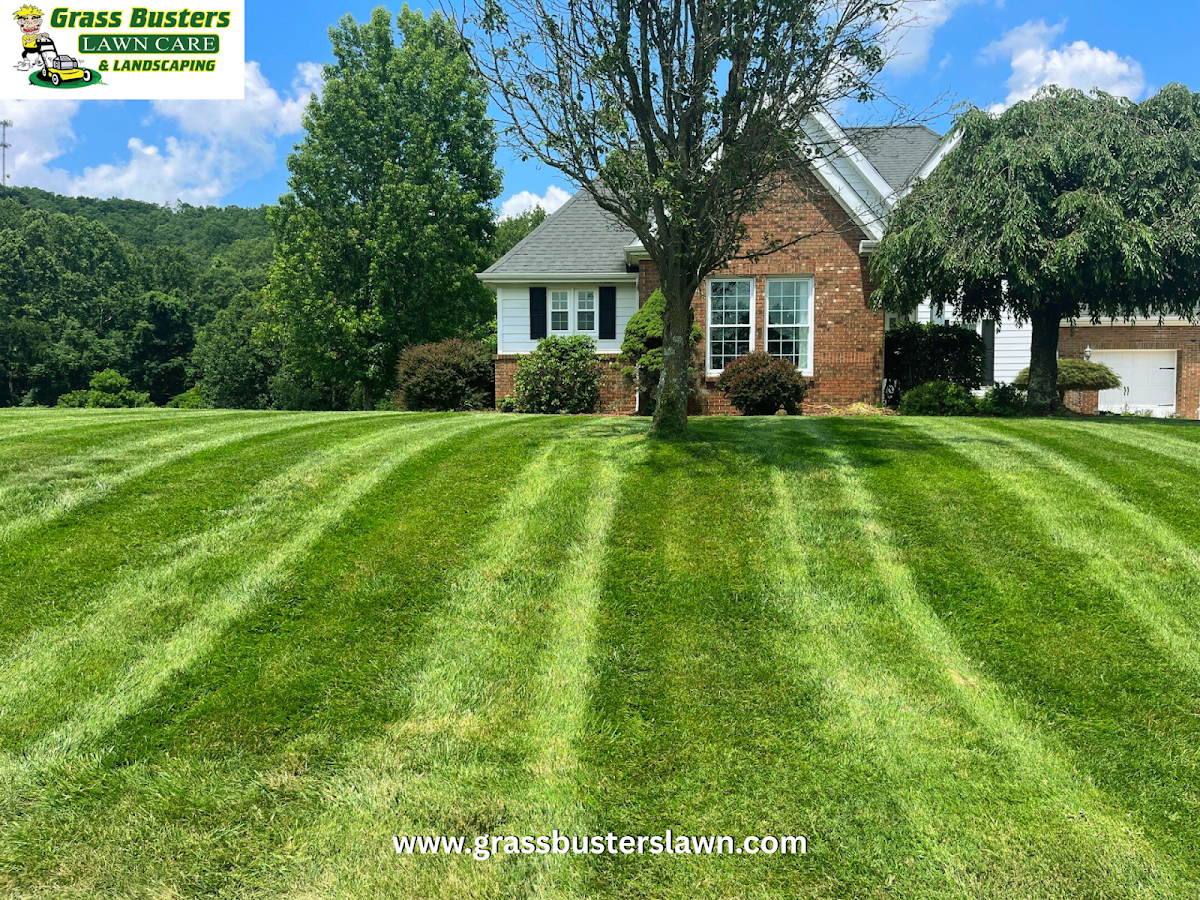 GrassBusters Lawn Care & Landscaping