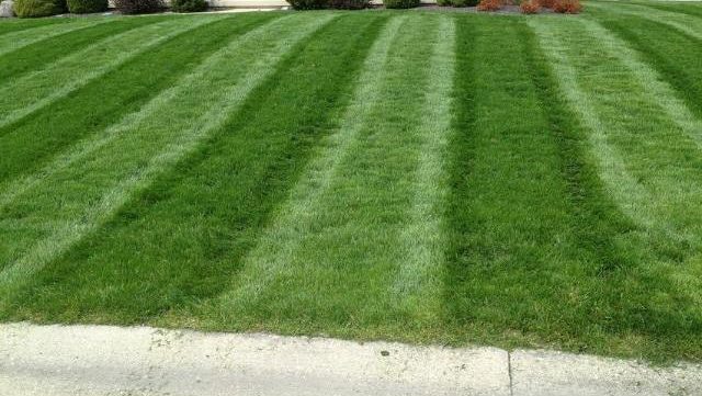 Procutters Lawn and Landscape LLC