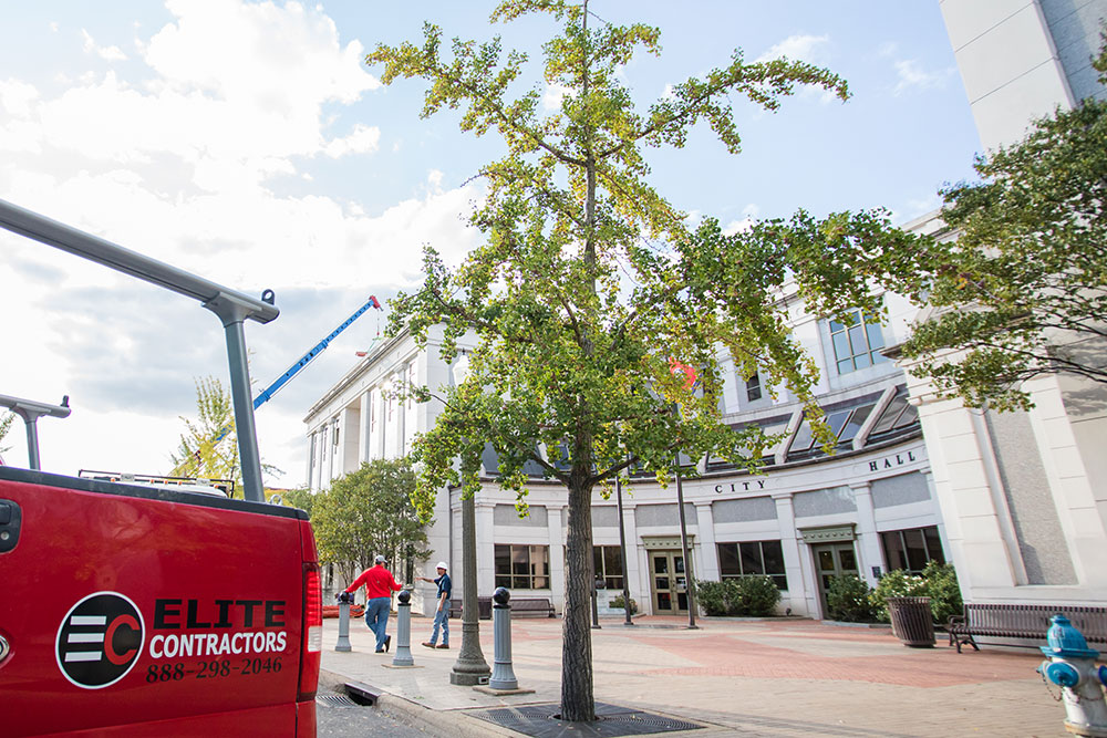 Elite Contractors, LLC