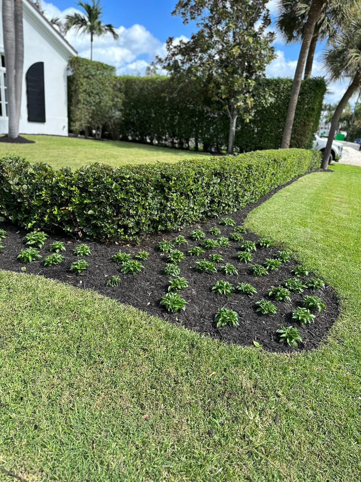 Tropical Landscaping LLC