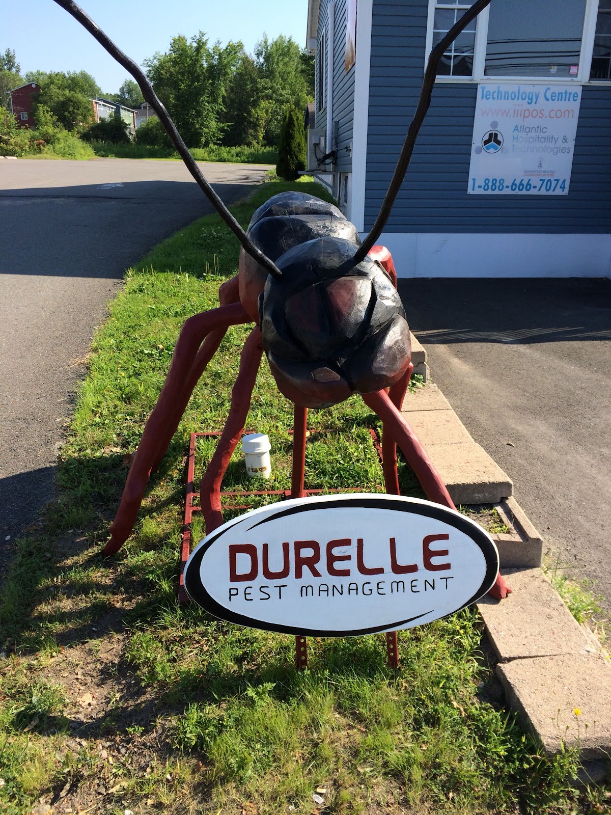 Business photo
