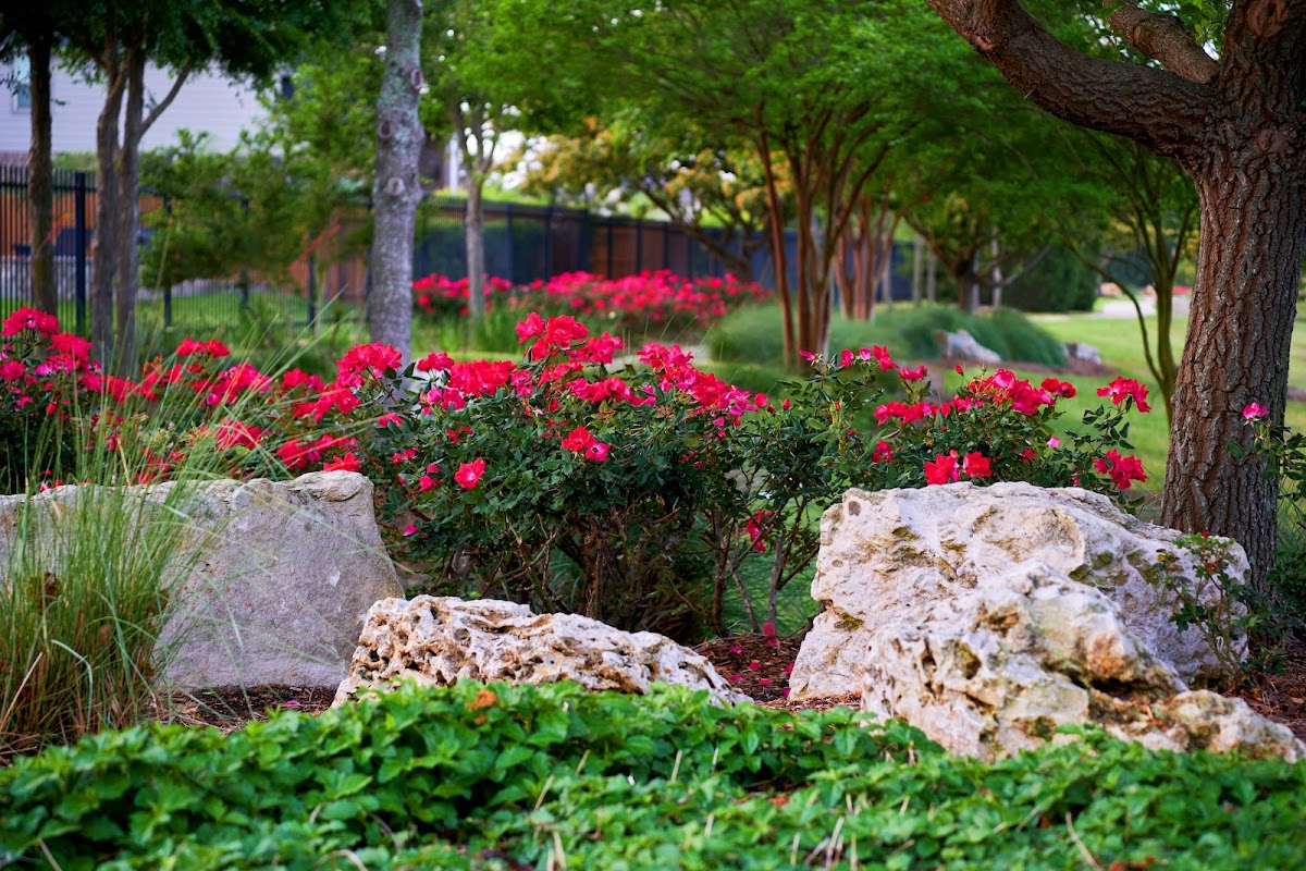 Terry's Landscape LLC