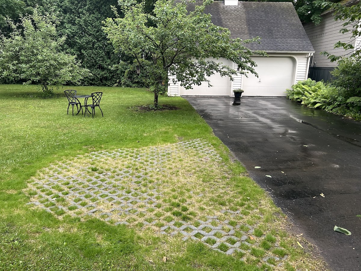 P&J Landscaping and Tree Service LLC