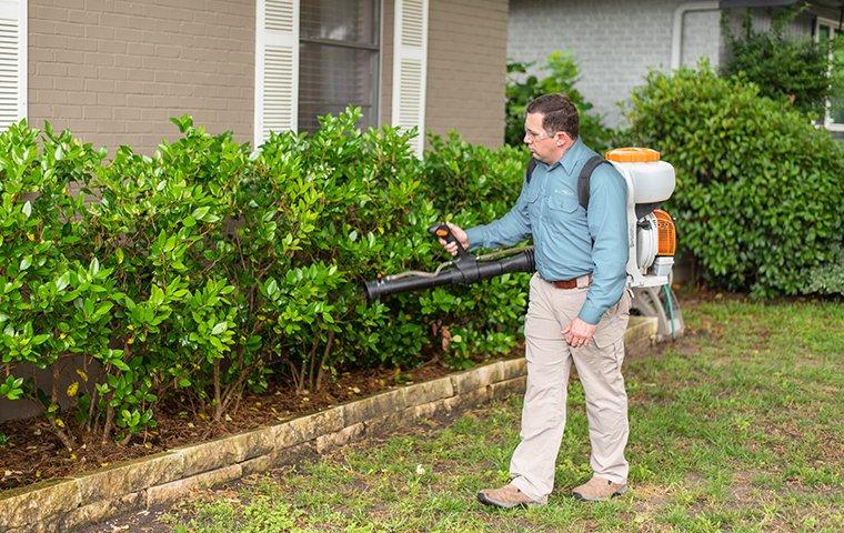 Pestmaster Services