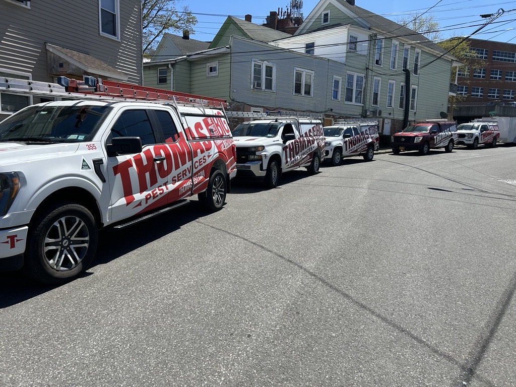 Thomas Pest Services