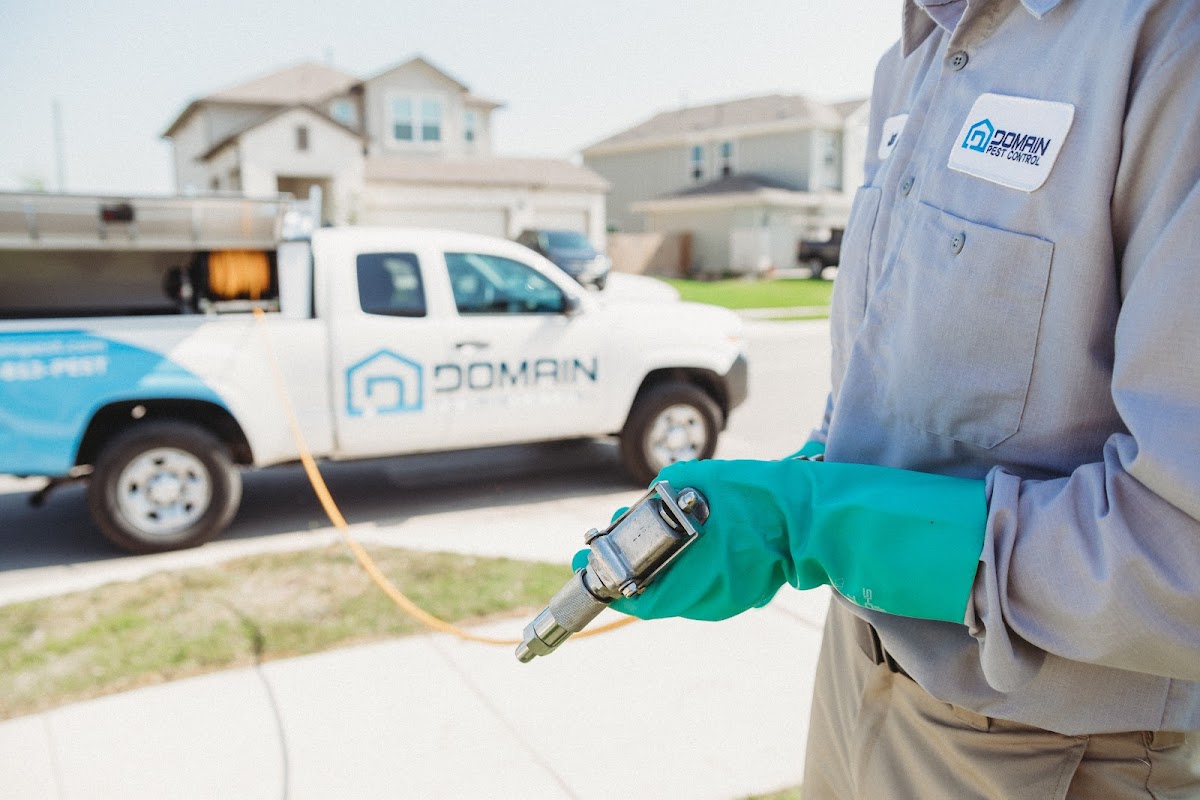 Domain Pest Control