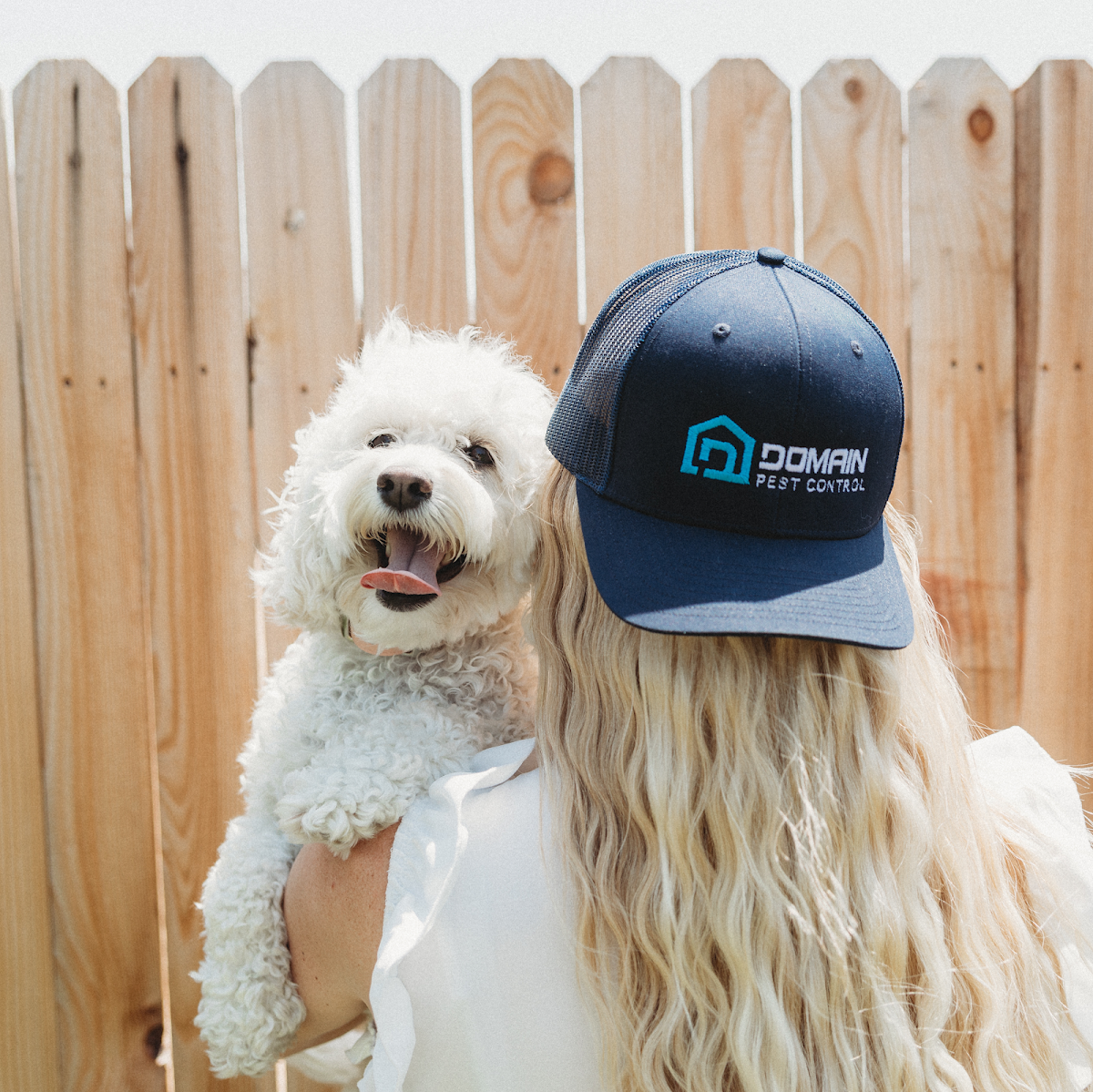 Business photo