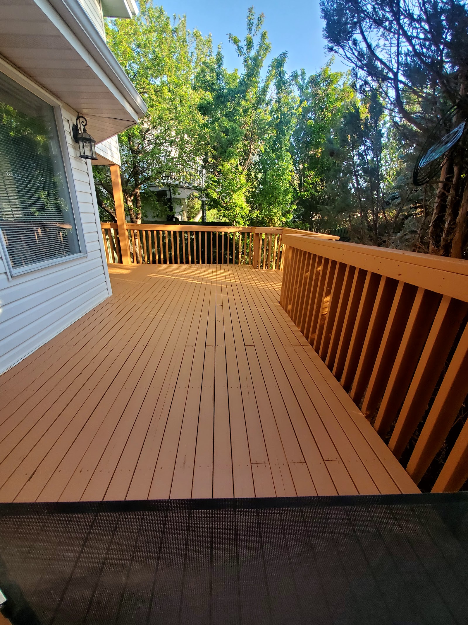 Pro Co Painting