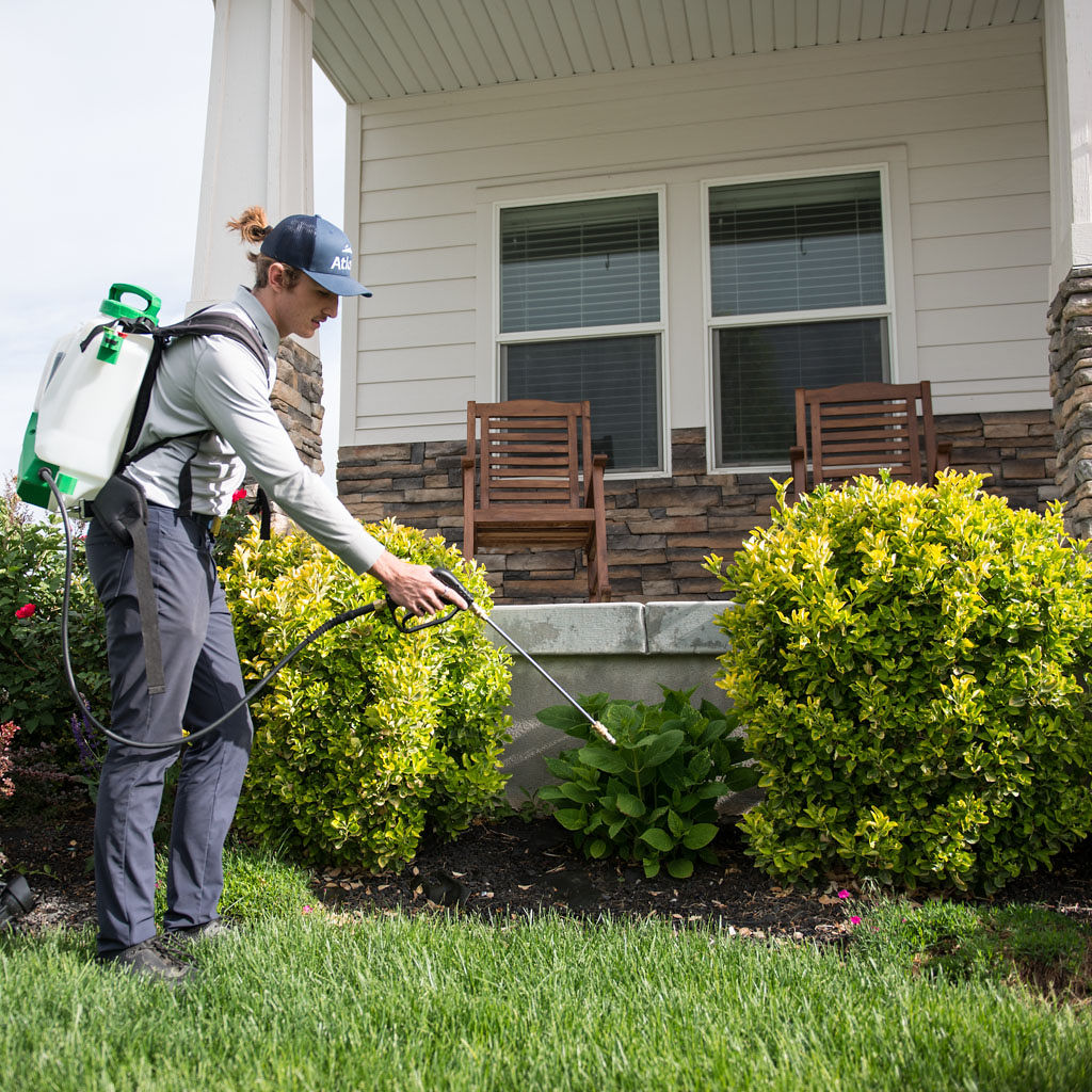 Atlas Pest Services