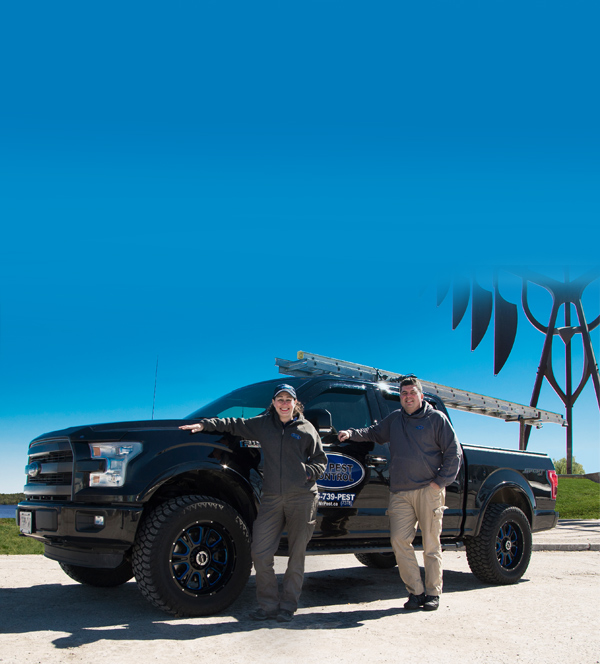 Mr. Pest Control - Orillia