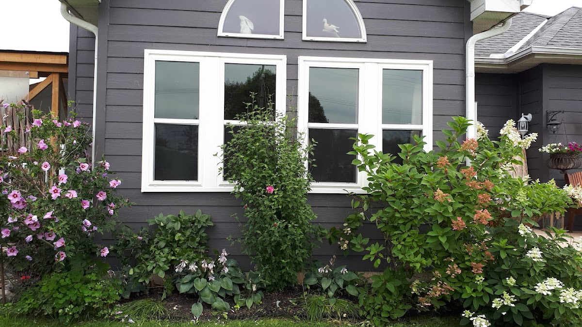 Sunshine Windows & Doors