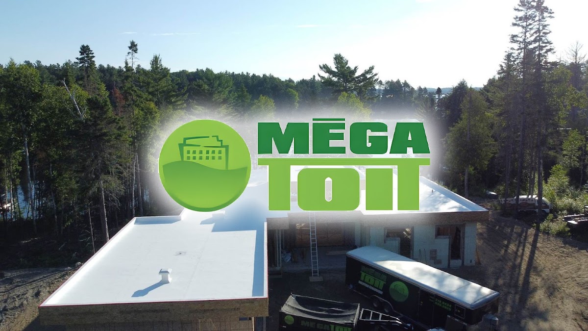 Megatoit