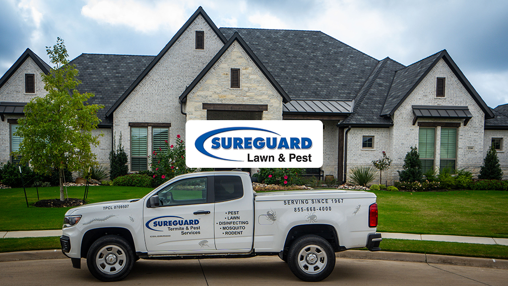 Sureguard Lawn & Pest