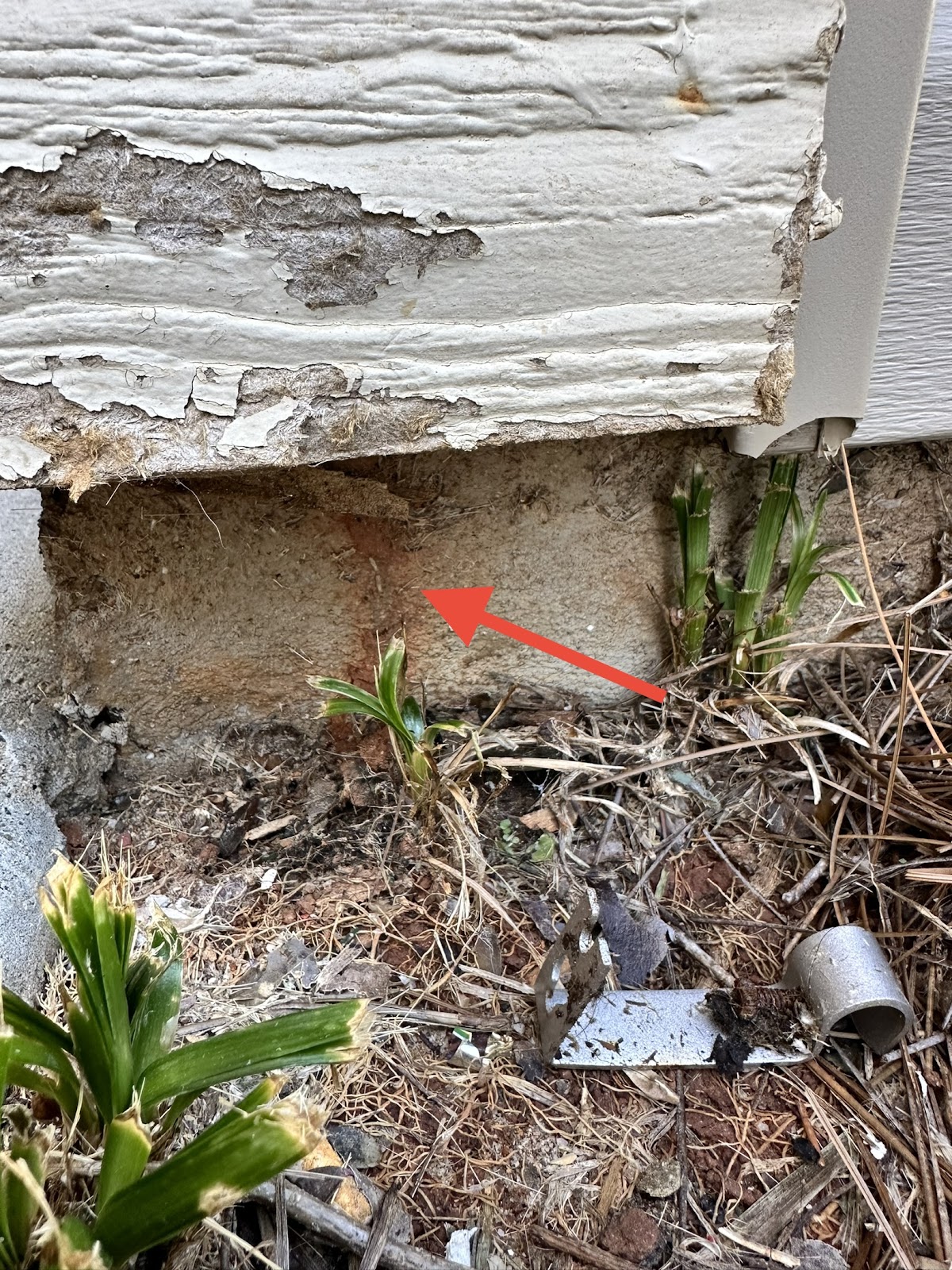 A+ Termite & Pest Control