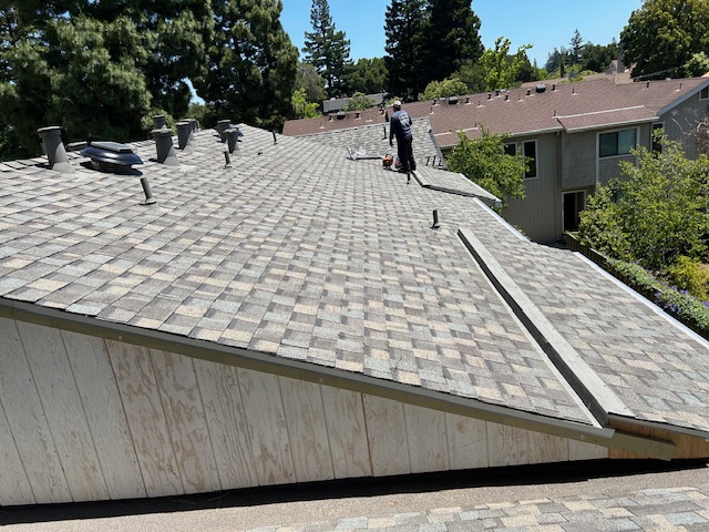 Shelton Roofing Co Inc