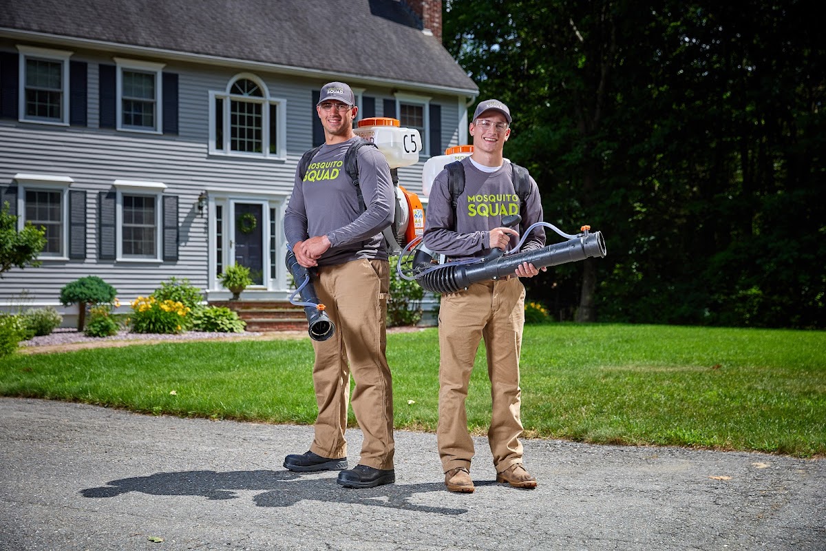 Business photo