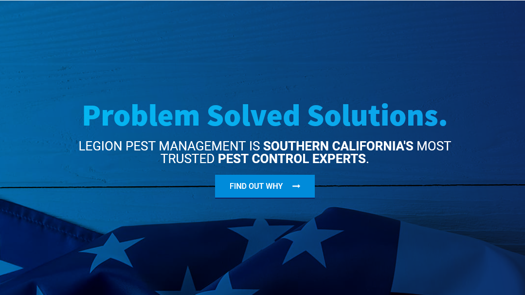 Legion Pest Management