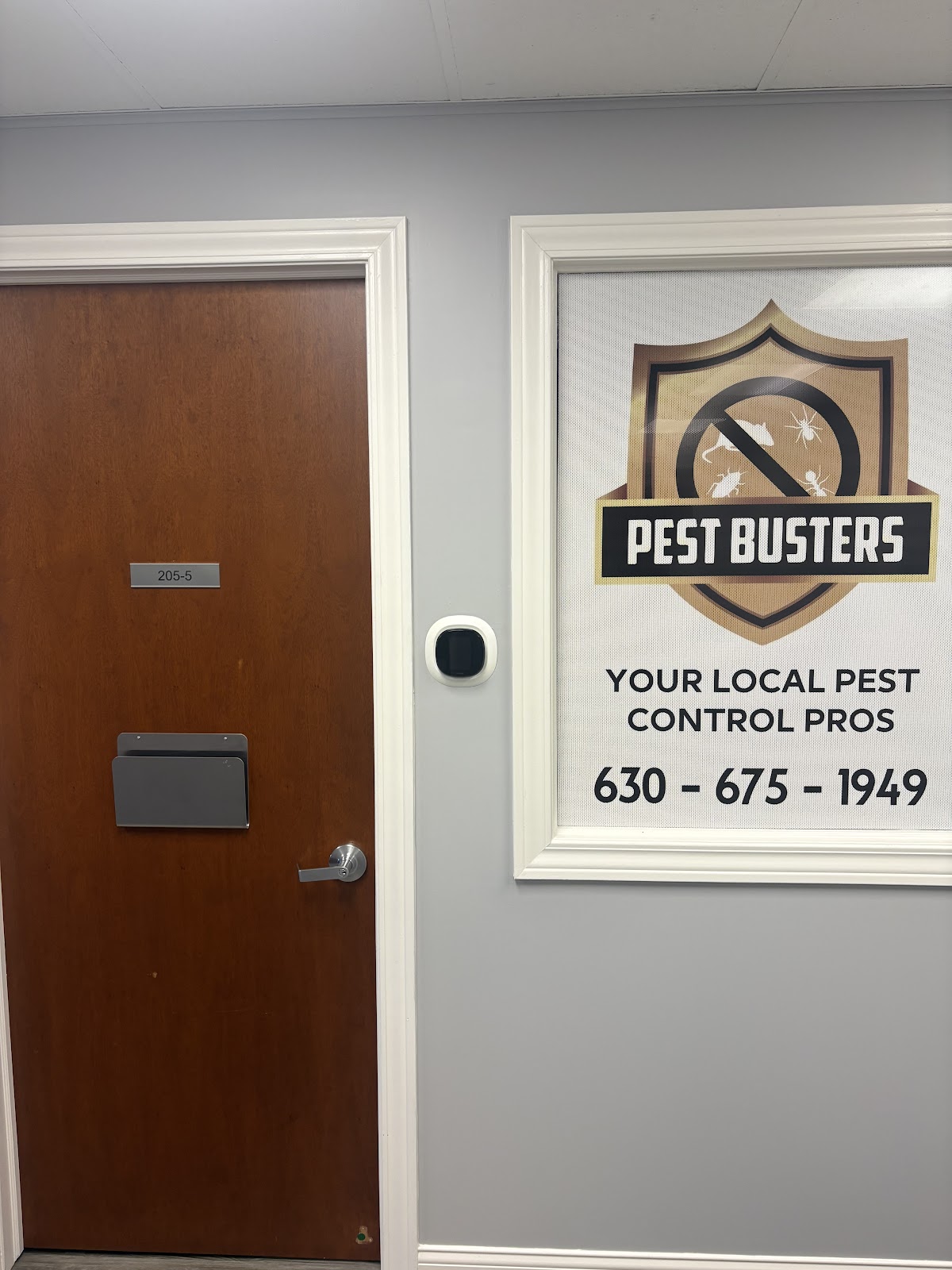 Pest Busters- Naperville