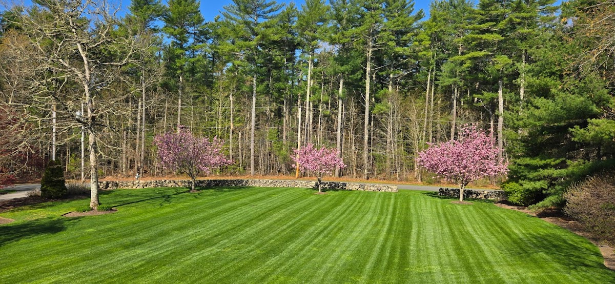 New England Tree & Landscape Inc.