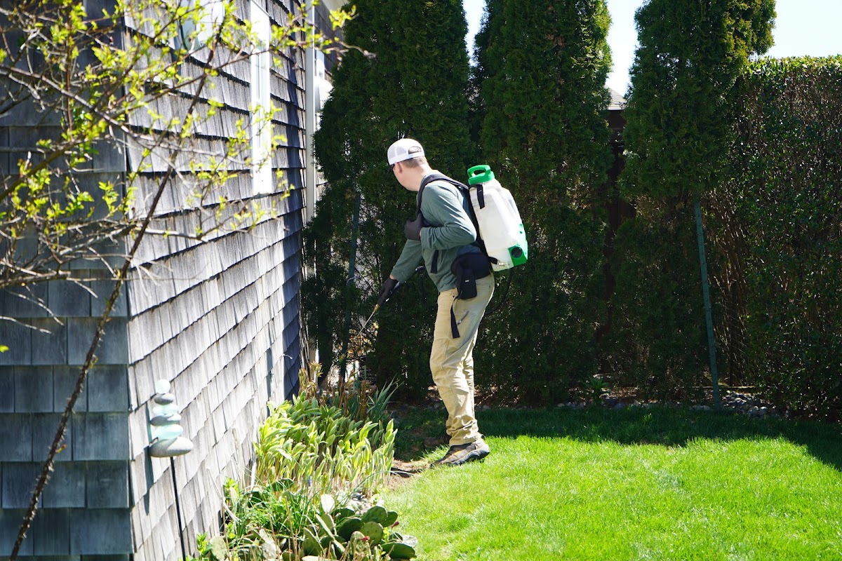 Debug Pest Control - SE Massachusetts