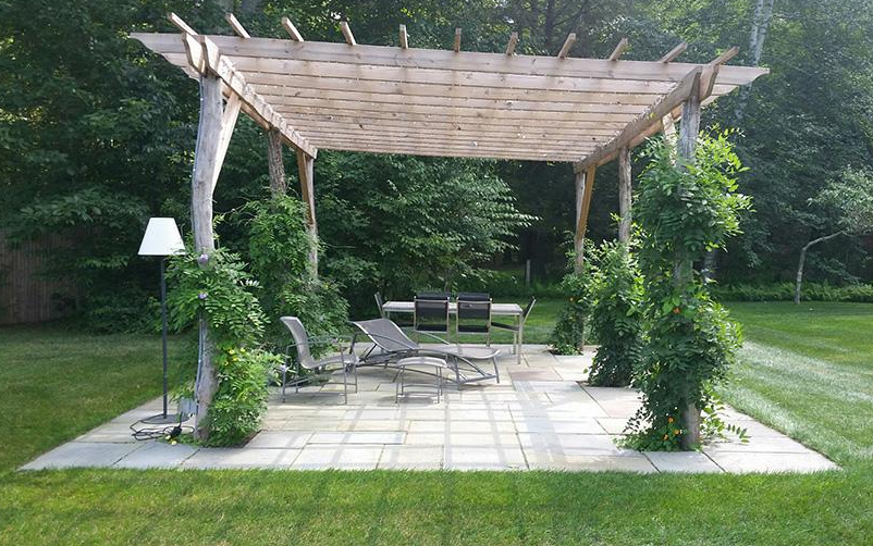 Sergio Landscaping LLC