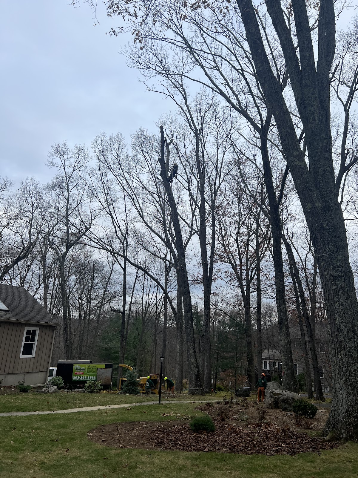 Business photo