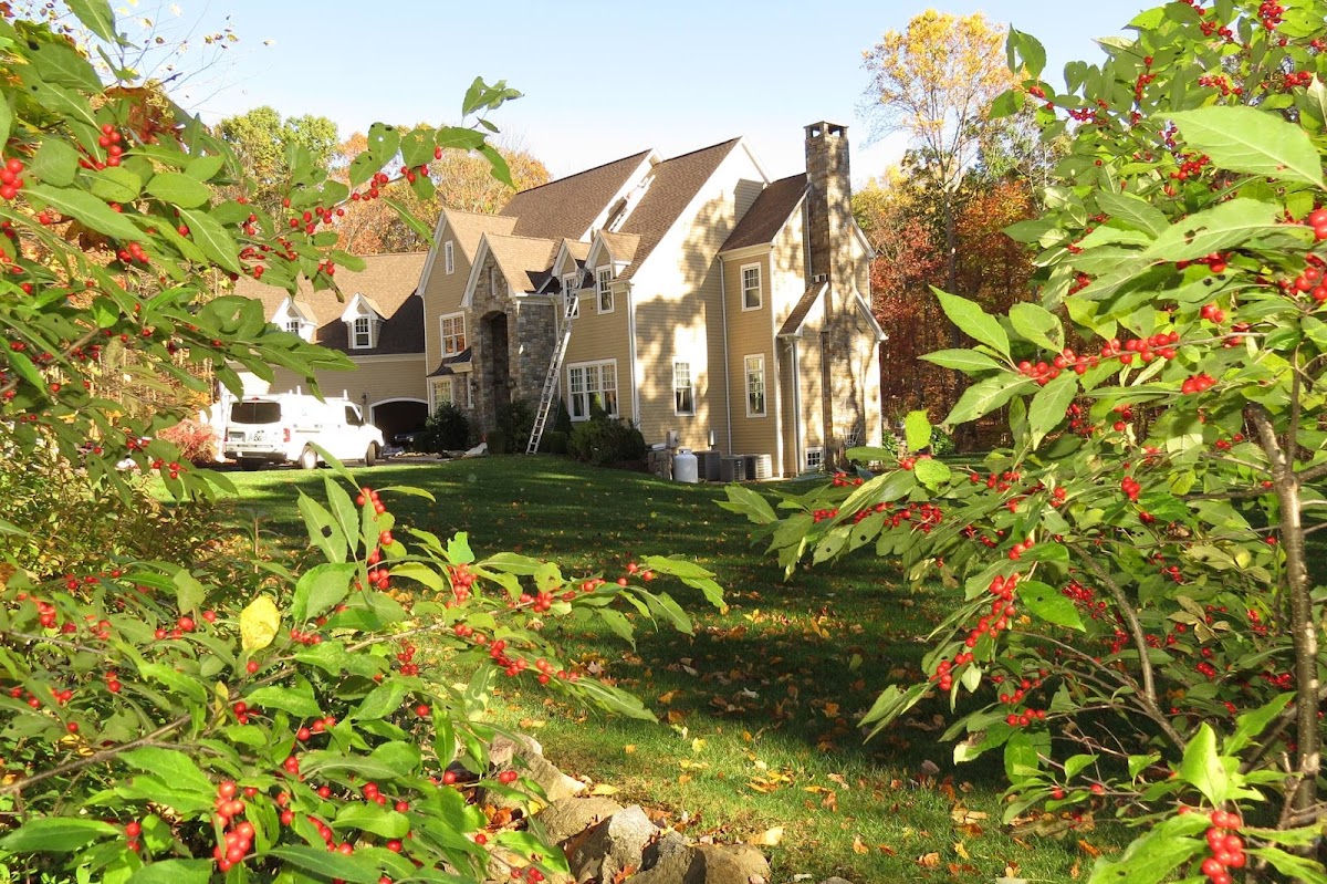 A and M Quality Painting LLC