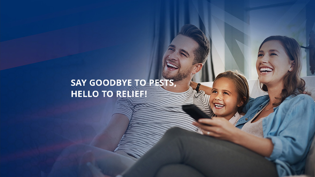 American Pest Solutions