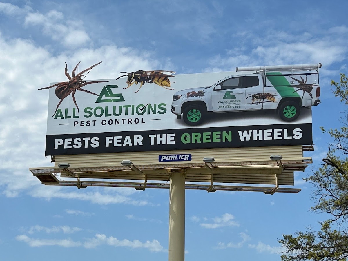 All Solutions Pest Control
