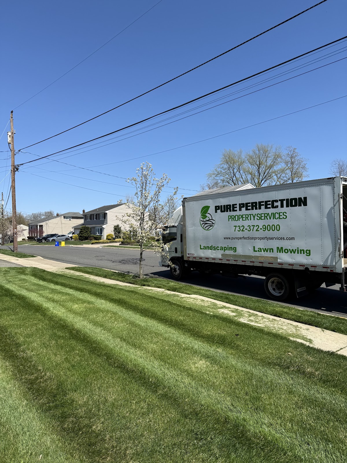 Pure Perfection Property Services, LLC