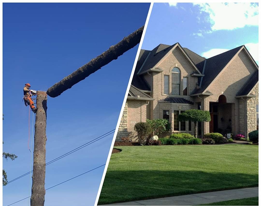 Capital City Landscape & Tree Service