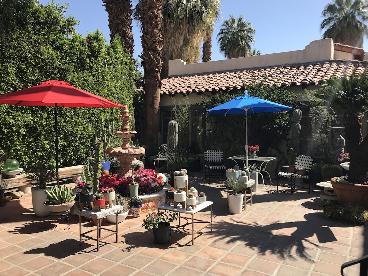 Desert Landscape Design