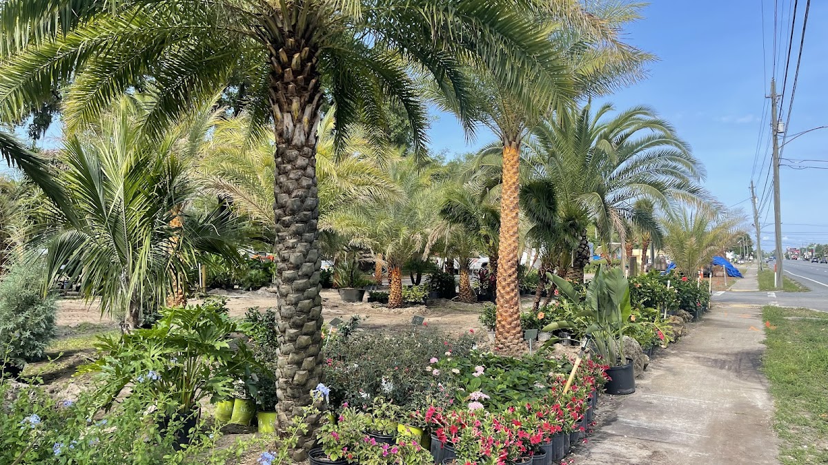 Palm Brothers Landscaping