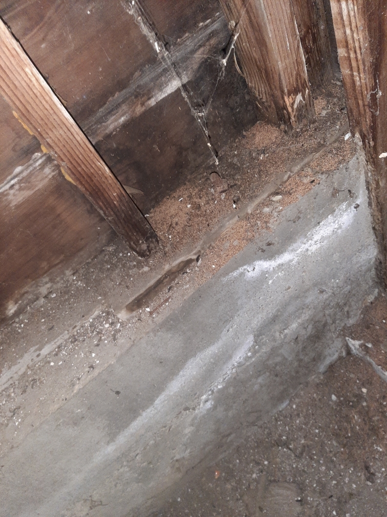 Top Grade Termite Control