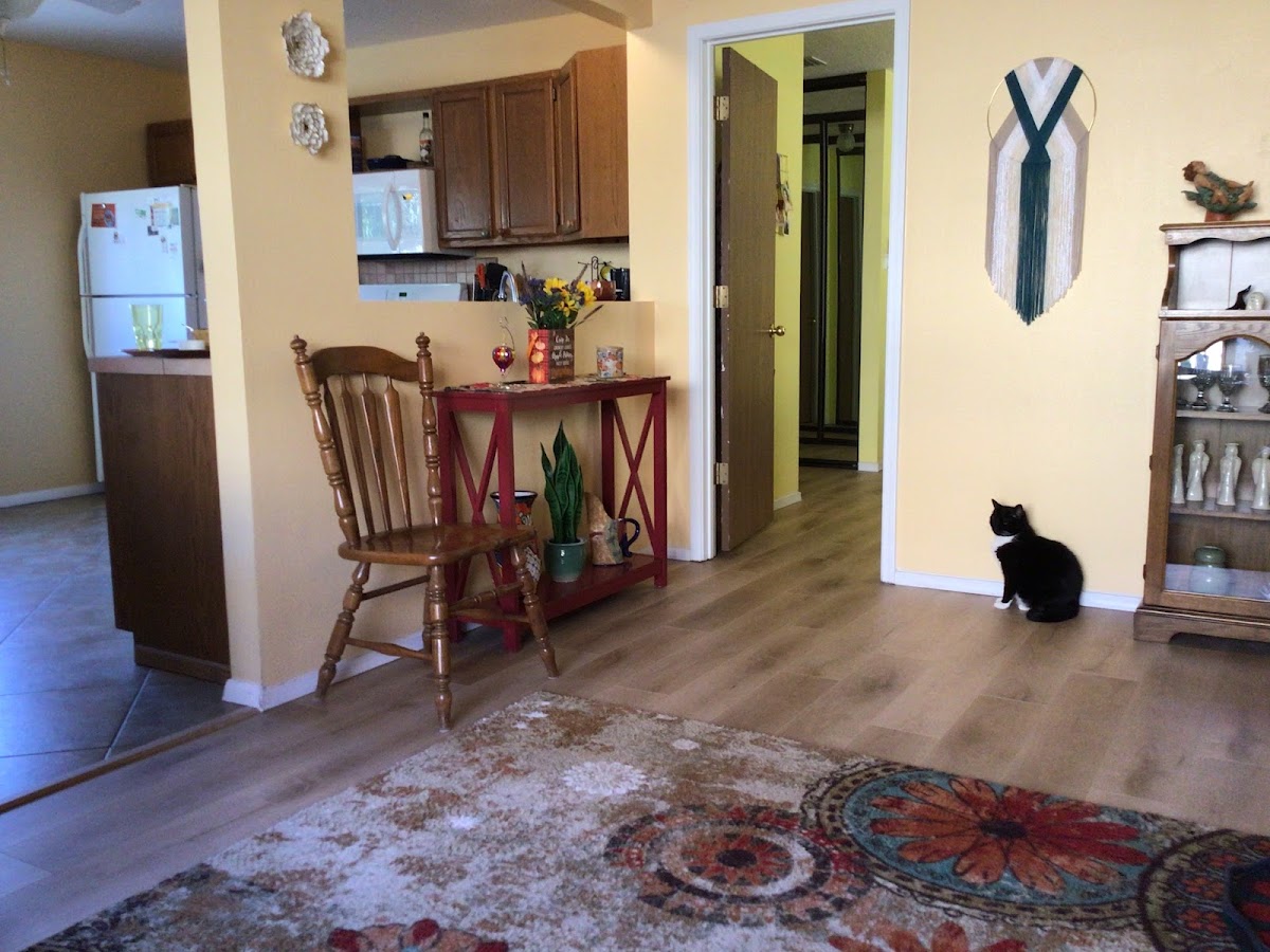Perfection Carpet & Flooring