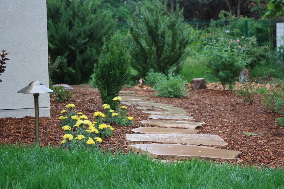 Whelchel Landscaping & Construction
