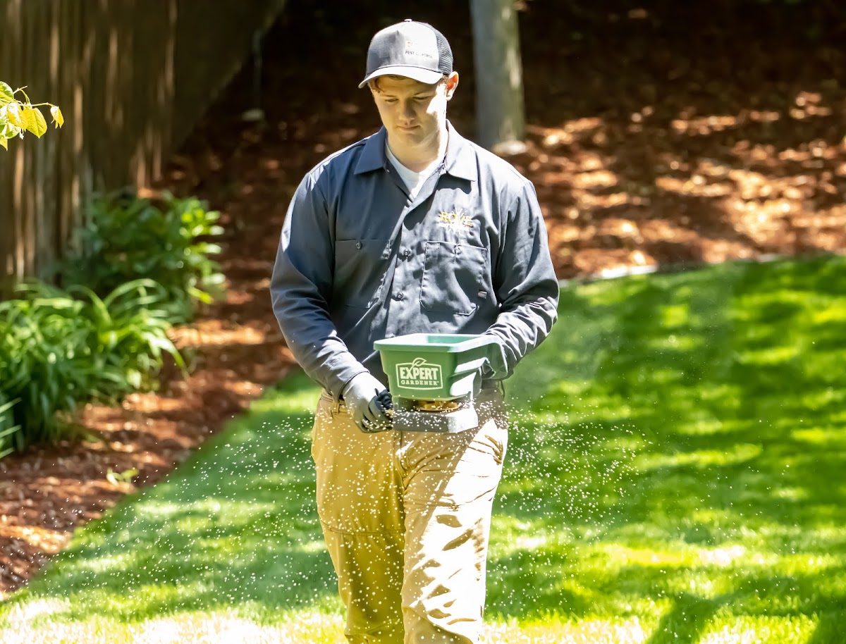Rove Pest Control