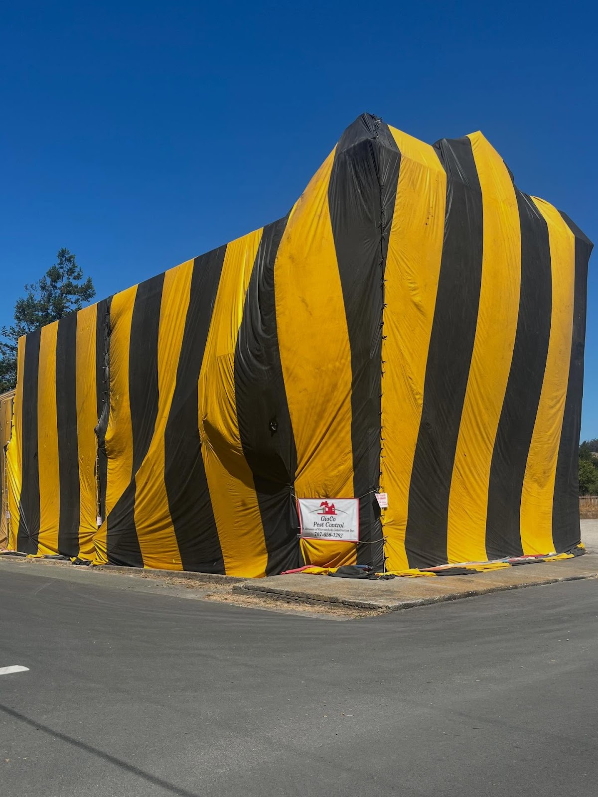 Business photo